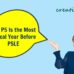 Primary 5 English Tuition - Why P5 is the most critical year before PSLE